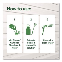 OUTDOOR BLEACH, 81 OZ BOTTLE, 6/CARTON