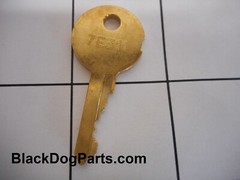 Advance Spare Key for Advenger, Adgressor, Convertamax 34, 600SC, 800SC 56396189