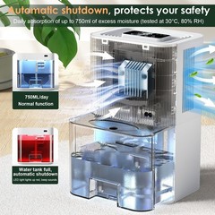 Portable Dehumidifier for Small Room, Bathroom & Closet | 91 OZ Tank | Compac…