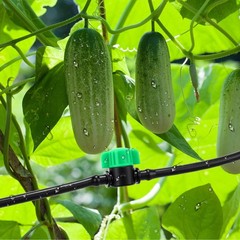 Innconee 50 Pcs 1/4 Inch Barbed Shut off Valve Drip Irrigation Tubing Green