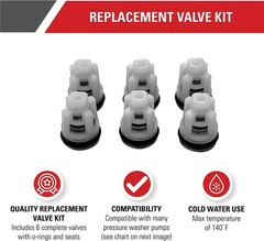 Simpson Genuine OEM 6pc. Valve Kit – 7104223