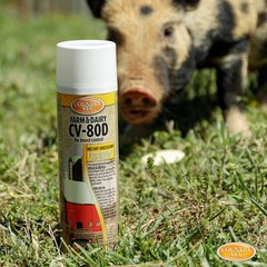 Country Vet Farm & Dairy CV-80D For Insect Control – 18.5 oz (Case of 6) –