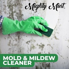 Mighty Mint Mold & Mildew Stain Remover Spray, 16 Fl Oz (Pack of 1), Natural