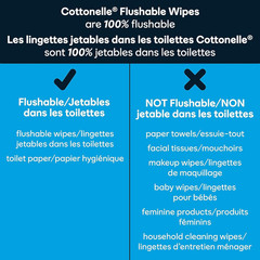Flushable Wet Wipes for Adults, 1 Flip-Top Pack, 42 Wipes, Alcohol-Free, Plas…