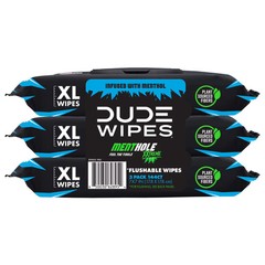 Flushable Wipes, XL Wet Wipes for at Home Use, MentHOLE XXtreme, 144 Count
