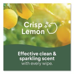 Clorox 31404 8″ x 7″ 1-Ply Disinfecting Wipes – Lemon Scent White (6/CT) New