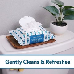 Member’s Mark Flushable Wipes, Fresh Scent, 540 ct.