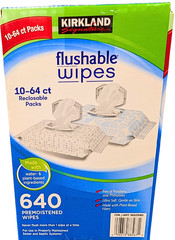 Kirkland Signature Flushable Wipes Fragrance Free 640 Count