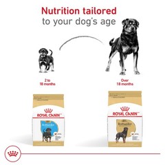 Royal Canin Breed Health Nutrition Rottweiler Puppy Dry Dog Food 30 Lb Bag