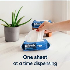 Fresh Feel Flushable Adult Wet Wipes, 8 Packs of 42 Wipes (336 Total)