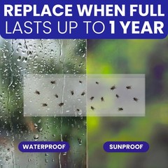 50 Window Fly Traps Sticky Non-Toxic Clear Paper Indoor for Transparent