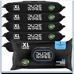 DUDE Wipes Flushable Wipes Unscented XL Adult Wet Wipes 288 Ct Vitamin E Aloe