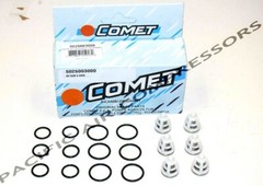 5025003000 BE COMET PUMP VALVE KIT FOR AWD AND BWD PUMPS