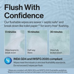 The Honest Company Hypoallergenic Flushable Wipes 42 Count (Pack of 1), White