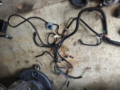 56314250 MAIN HARNESS AMERICAN LINCOLN Advance Nilfisk SE-AXP Carpet Extractor