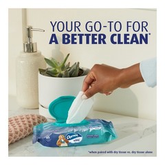 Charmin Flushable Wipes – 8pk/40ct