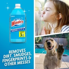 Windex Refill Glass and Window Cleaner Bottle, Bottle 67.6 Fl Oz (Pack of 1)