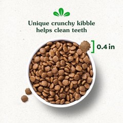 Greenies Smart Essentials Puppy High Protein Dry Dog Food Real Chicken Brown