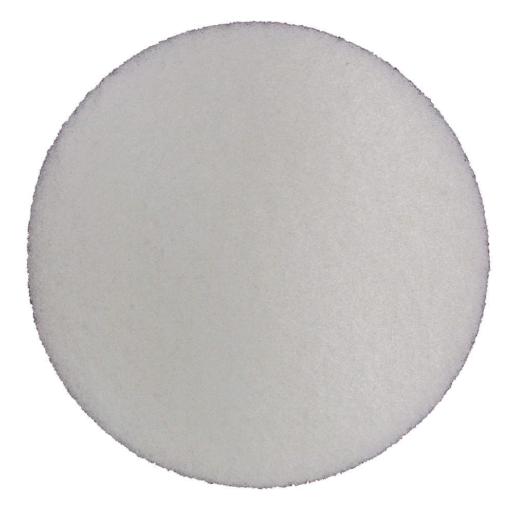 ABILITY ONE 7910-01-512-5938 Polishing Pad,17 in Dia,White,PK5 52HU09
