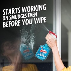 Windex Glass and Window Cleaner Spray Bottle, Packaging Designed to Prevent