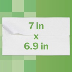 McKesson Flushable* Personal Wipe 6-9/10 X 7 Inch FLU48 1 Pack 48 Wipes