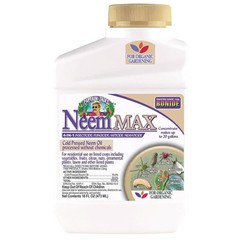 Bonide 026 Concentrate, Captain Jack’s Neem MAX, 16 oz