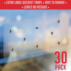 Window Fly Traps Indoor Clear (30 Pack) – for 30 Pack