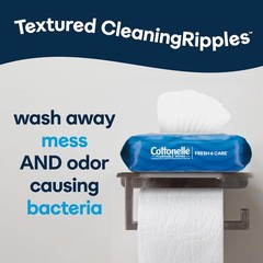 Fresh Feel Flushable Wet Wipes, Adult Wet Wipes, 8 Flip-Top Packs, 42 Wipes per