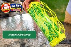 TrapStik for Wasps, Mud Daubers, Carpenter No Size, Green