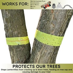W4W, Spotted Lantern Fly Tree Trap 4 Pack (Each Roll is 30 Feet Long), Yellow