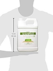 Kirby 1Gal.Unscented Carpet Shampoo 4 Pack 252803S
