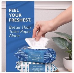 🧻 Member’s Mark Flushable Wipes Fresh Scent 540 Count Soft & Gentle Pack 🧻