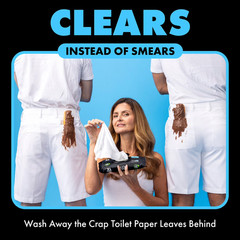 DUDE Wipes, Flushable Wipes, Extra Large and Fragrance-Free Wipes (400 ct.)
