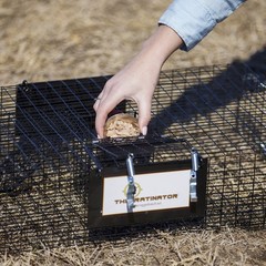 Rugged Ranch Ratinator Rat Squirrel Chipmunk Metal 2 Door Trap Cage (4 Pack)