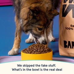 Barkbox Bark In The Belly Salmon Ancient Grains Recipe Premium Dog Food – 28Lb