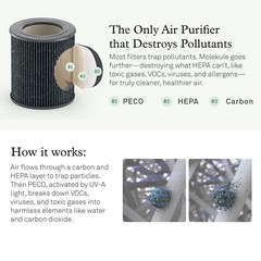 Molekule Mini/Mini+ Air Filter – Authentic Molekule Air Purifier Fi… Fast Ship