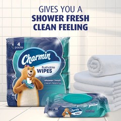 Charmin Flushable Wipes 2 Pack 40 Sheets Portable Cleaning Wipes