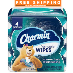 Charmin Flushable Wipes, 4 packs, 40 Wipes Per Pack, 160 Total Wipes