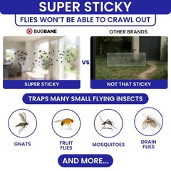 50 Window Fly Traps Sticky Non-Toxic Clear Paper Indoor for Transparent