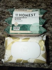 2 Pack Honest Flushable Wipes Fragrance Free Hypoallergenic 252 Ct