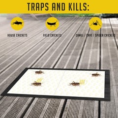 Cricket Traps Indoor (12 Traps) Extra Large Bug Sticky – Black
