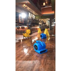 1/4 HP Air Mover Blower Fan Carpet Dryer Water Damage Restoration Blue