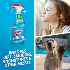 Windex Glass & Window Cleaner Spray Original 23oz Bottle