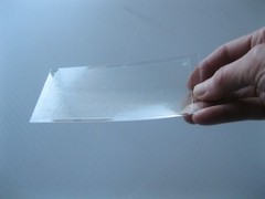 10 pk ALL INSECT STICKY TRAPS. Fly, Spider, Cricket, Roach Lady Bug IN USA