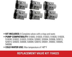 Simpson Genuine OEM 6pc. Valve Kit – 7104223