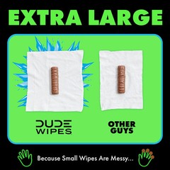 Flushable Wipes, XL Wet Wipes for at Home Use, MentHOLE XXtreme, 144 Count