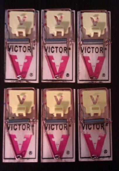 12 Victor Mouse Mice Snap Traps M325 Pro Holdfast ~ Control Better then the M150