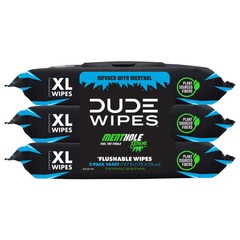 Flushable Wipes, XL Wet Wipes for at Home Use, MentHOLE XXtreme, 144 Count