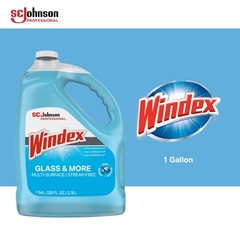 SC Johnson Professional Windex Glass and More 1 Count (Pack of 4), Blue