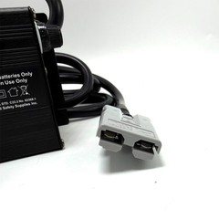 Replacement Battery Charger for NaceCare TTB516 Autoscrubber, 24V 10A, Gray Plug